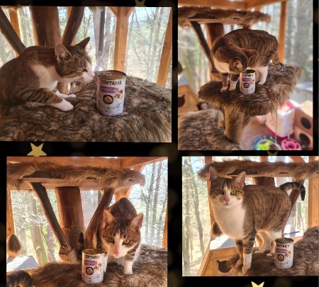 Zvíře v tísni, z.s.  2